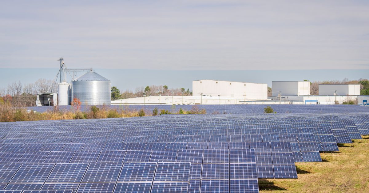 Réseau électrique européen : le solaire a stabilisé l&rsquo;approvisionnement pendant la canicule