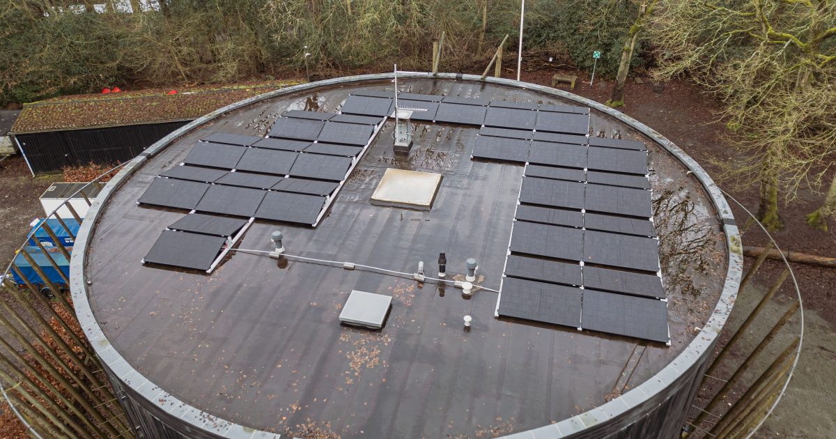 Solaire : la location de panneaux par Ensol rend l’autoconsommation plus accessible