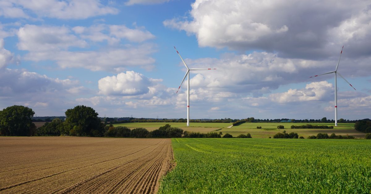 Éolien en Saxe-Anhalt : impact concret après la percée électorale de l’AfD