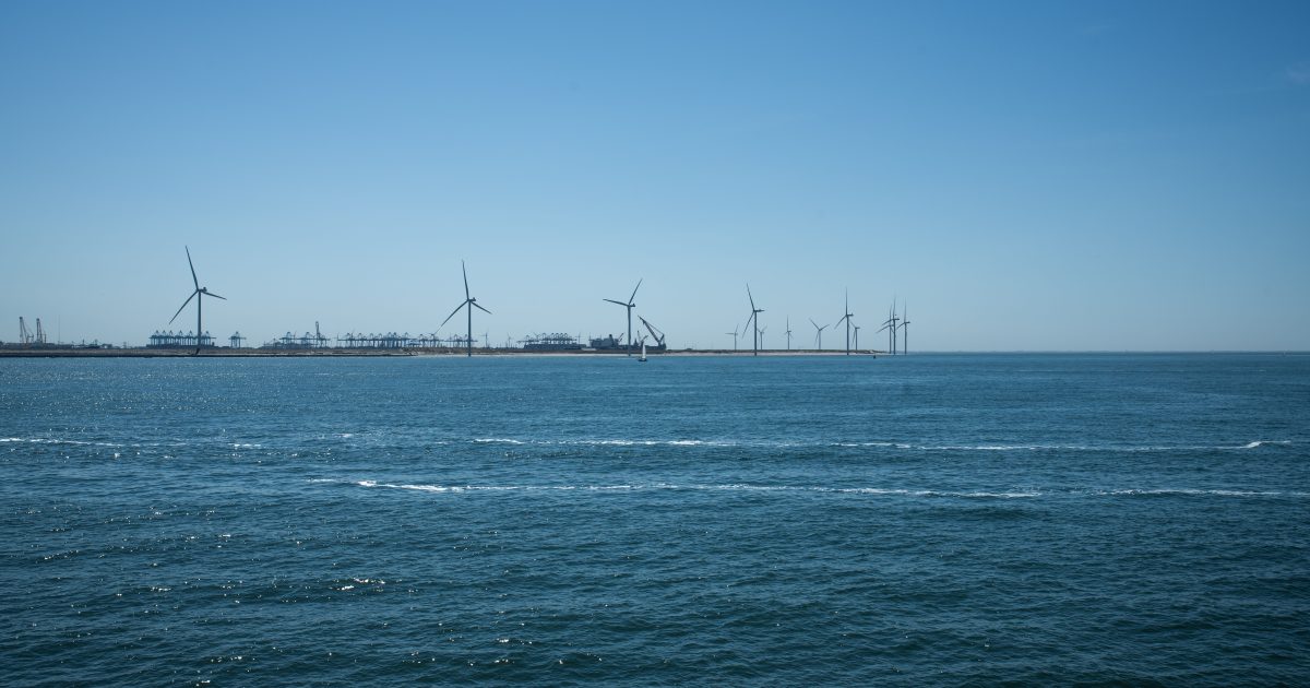 Surveillance environnementale préalable aux méga parcs éoliens flottants en Méditerranée